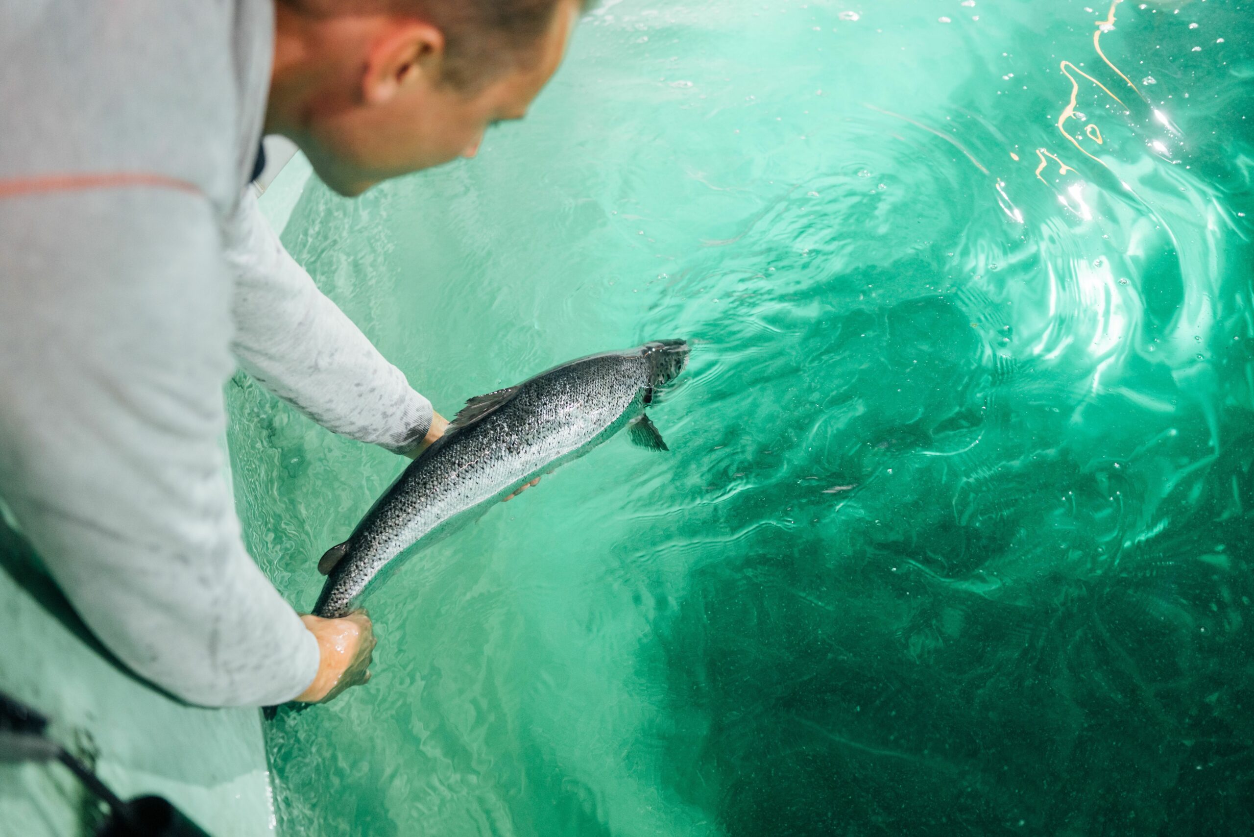 Omega 3s powered by algae