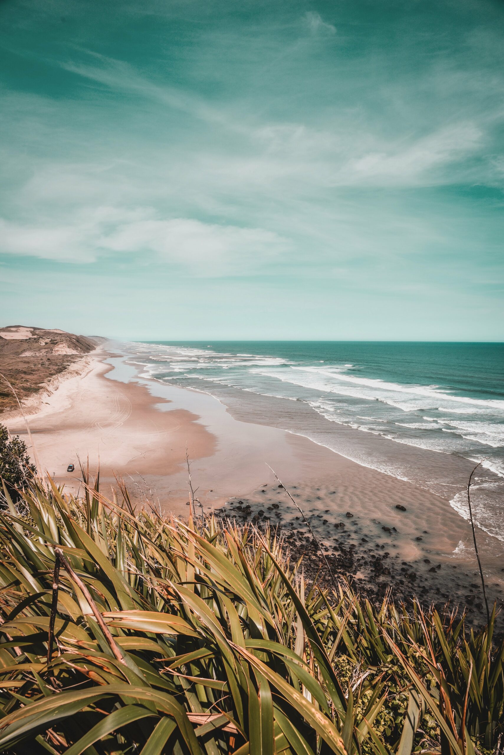 Local is fresh, and more nutritious