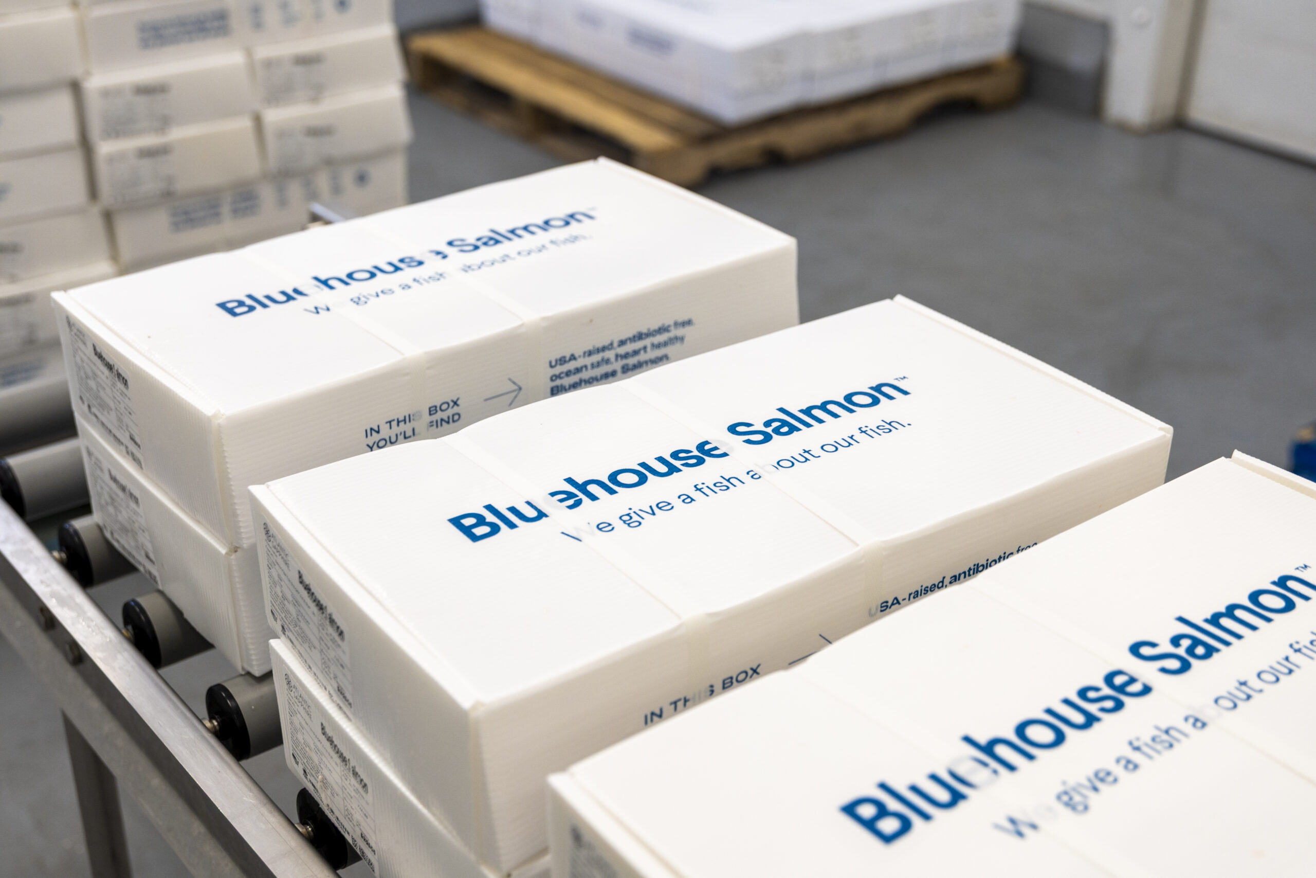 Bluehouse Salmon expansion Fresh Thyme Market seafood section Midwest store